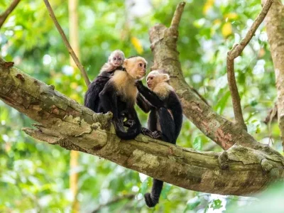 Tour Costa Rica 15 giorni